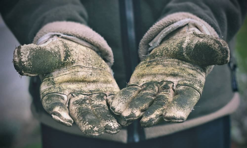 A pair of heavily used and dirty work gloves worn by a worker, indicating that the owner needs to replace them.